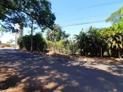 Fazenda / Sítio / Chácara com 4 Quartos à venda, 12669m² no Centro, Araraquara - Foto 4