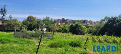 Fazenda / Sítio / Chácara com 2 Quartos à venda, 200m² no Jardim Portugal, Valinhos - Foto 38