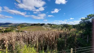 Fazenda / Sítio / Chácara com 2 Quartos à venda, 20000m² no Centro, Monte Belo do Sul - Foto 4