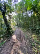 Terreno / Lote / Condomínio à venda, 20000m² no Vale dos Vinhedos, Bento Gonçalves - Foto 6