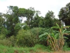 Terreno / Lote / Condomínio à venda no Itinga, Joinville - Foto 3