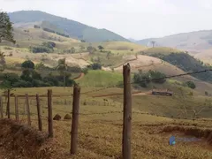 Fazenda / Sítio / Chácara à venda, 1390000m² no Taruacu, São João Nepomuceno - Foto 4