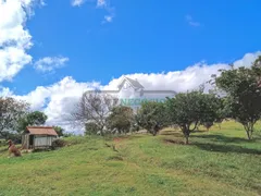 Fazenda / Sítio / Chácara com 3 Quartos à venda, 126000m² no Centro, Pedro Teixeira - Foto 32