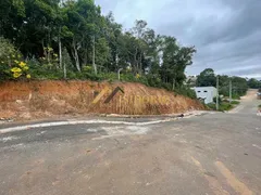 Terreno / Lote / Condomínio à venda, 4000m² no Roca Grande, Colombo - Foto 1