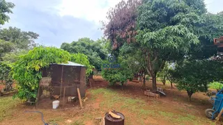 Fazenda / Sítio / Chácara com 4 Quartos à venda, 250m² no Zona Rural, Caetanópolis - Foto 16