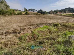 Terreno / Lote / Condomínio à venda, 10000m² no Forqueta, Caxias do Sul - Foto 8