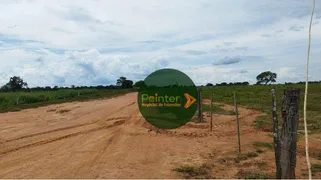 Fazenda / Sítio / Chácara à venda, 12826000m² no Zona rural , Peixe - Foto 13