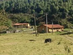 Fazenda / Sítio / Chácara com 8 Quartos à venda, 3097600m² no Area Rural de Amparo, Amparo - Foto 29