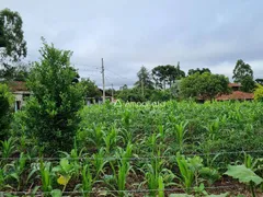 Fazenda / Sítio / Chácara à venda, 100m² no Rancho Alegre, Campina Grande do Sul - Foto 12