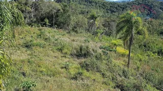 Terreno / Lote / Condomínio à venda, 222m² no Felpudo, Campo Largo - Foto 1