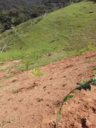 Fazenda / Sítio / Chácara à venda, 4000m² no Limeira, Brusque - Foto 29