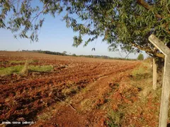 Fazenda / Sítio / Chácara à venda, 54000m² no Centro, Cesário Lange - Foto 5