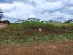 Terreno / Lote / Condomínio à venda, 1000m² no , Iguaraçu - Foto 1