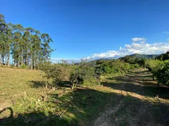 Fazenda / Sítio / Chácara com 1 Quarto à venda, 150000m² no Oliveiras, Tijucas - Foto 2
