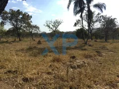 Fazenda / Sítio / Chácara com 3 Quartos à venda, 300m² no Santo Antônio dos Campos, Divinópolis - Foto 6