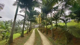 Fazenda / Sítio / Chácara com 2 Quartos à venda, 9800m² no Escalvado, Navegantes - Foto 39