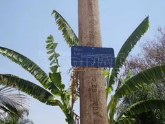 Fazenda / Sítio / Chácara à venda, 800m² no Loteamento Tutoya do Vale, São Carlos - Foto 6