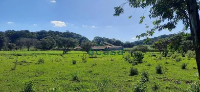 Fazenda / Sítio / Chácara à venda, 251500m² no Iguipora, Marechal Cândido Rondon - Foto 26