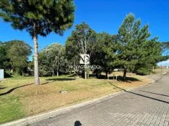 Terreno / Lote / Condomínio à venda, 464m² no Vivendas do Arvoredo, Gramado - Foto 1