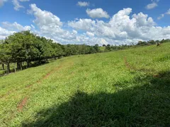 Fazenda / Sítio / Chácara com 2 Quartos à venda, 96800m² no Zona Rural, Bonfinópolis - Foto 5