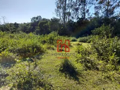 Fazenda / Sítio / Chácara com 6 Quartos à venda, 25400m² no Ratones, Florianópolis - Foto 24
