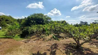 Fazenda / Sítio / Chácara com 2 Quartos à venda, 13000m² no Macuco, Valinhos - Foto 13