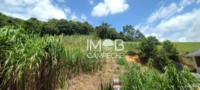 Terreno / Lote / Condomínio à venda, 527m² no Centro, Santo Amaro da Imperatriz - Foto 4