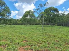 Fazenda / Sítio / Chácara à venda, 530000m² no Zona Rural, Oliveira - Foto 15