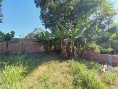 Fazenda / Sítio / Chácara à venda, 70m² no Laranjeiras de Caldas, Caldas - Foto 14