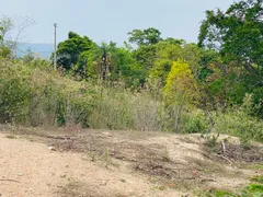 Fazenda / Sítio / Chácara com 4 Quartos à venda, 144000m² no Zona Rural, Faina - Foto 9