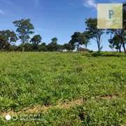 Terreno / Lote / Condomínio à venda, 1007m² no Centro, Aragoiânia - Foto 40