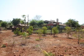 Fazenda / Sítio / Chácara com 3 Quartos à venda, 200m² no Centro, Curvelo - Foto 5