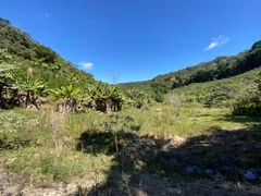 Fazenda / Sítio / Chácara à venda, 20000m² no Zona Rural, Marechal Floriano - Foto 9