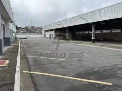 Galpão / Depósito / Armazém para alugar, 1000m² no Jardim Estrela, Mauá - Foto 5