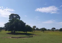 Fazenda / Sítio / Chácara à venda no Zona Rural, Poconé - Foto 17