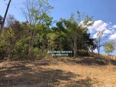 Fazenda / Sítio / Chácara com 3 Quartos à venda, 145200m² no Zona Rural, Gameleira de Goiás - Foto 24