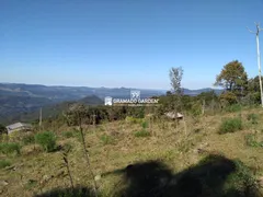 Fazenda / Sítio / Chácara à venda, 30000m² no Vila Jardim, Gramado - Foto 2
