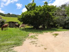 Fazenda / Sítio / Chácara com 2 Quartos à venda, 70m² no Zona Rural, São Miguel Arcanjo - Foto 4
