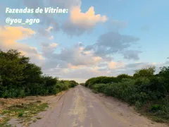 Fazenda / Sítio / Chácara à venda, 156500000m² no Centro, Alvorada do Gurguéia - Foto 4