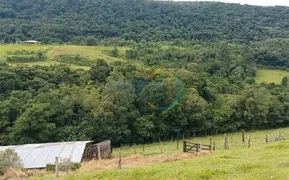 Fazenda / Sítio / Chácara com 1 Quarto à venda, 135157m² no Rural, Tamarana - Foto 8
