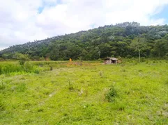 Fazenda / Sítio / Chácara com 4 Quartos à venda, 1700000m² no Centro, São Luiz do Paraitinga - Foto 11