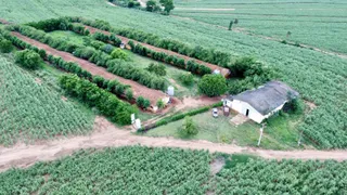 Fazenda / Sítio / Chácara com 3 Quartos à venda, 10m² no Centro, Descalvado - Foto 17