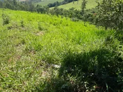Fazenda / Sítio / Chácara à venda, 170000m² no Zona Rural, Passa Tempo - Foto 14