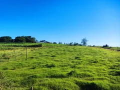 Fazenda / Sítio / Chácara com 4 Quartos à venda, 24200m² no , Mandaguaçu - Foto 8