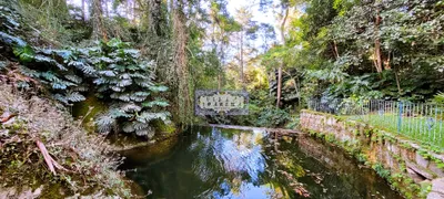 Fazenda / Sítio / Chácara com 4 Quartos para venda ou aluguel, 8115m² no Quebra Frascos, Teresópolis - Foto 7