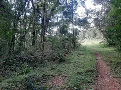 Terreno / Lote / Condomínio à venda no Contenda, São José dos Pinhais - Foto 17