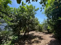 Fazenda / Sítio / Chácara com 3 Quartos à venda, 25000m² no Setor Central, Bonfinópolis - Foto 11