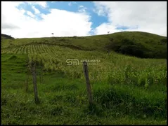 Fazenda / Sítio / Chácara à venda, 1m² no , Cachoeira Paulista - Foto 12