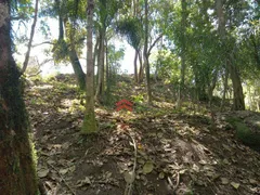 Fazenda / Sítio / Chácara com 3 Quartos à venda, 150m² no Capela de São Pedro, Vargem Grande Paulista - Foto 11