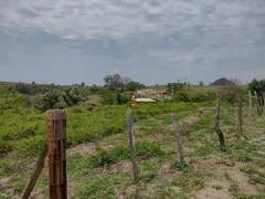 Fazenda / Sítio / Chácara à venda, 12100m² no Rural, Torre de Pedra - Foto 15